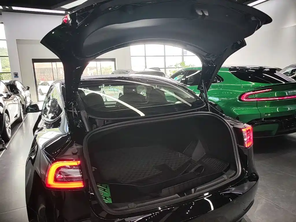 Tesla Model 3 — миниатюра 19