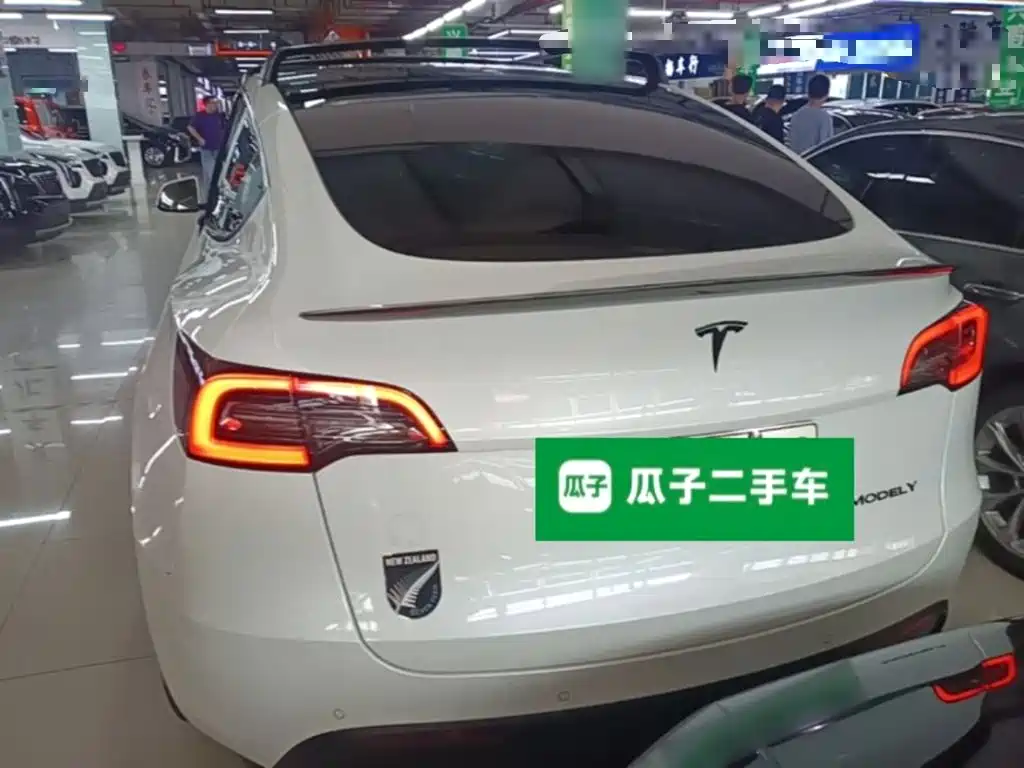 Tesla Model Y — миниатюра 6