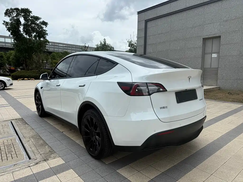 Tesla Model Y — миниатюра 13