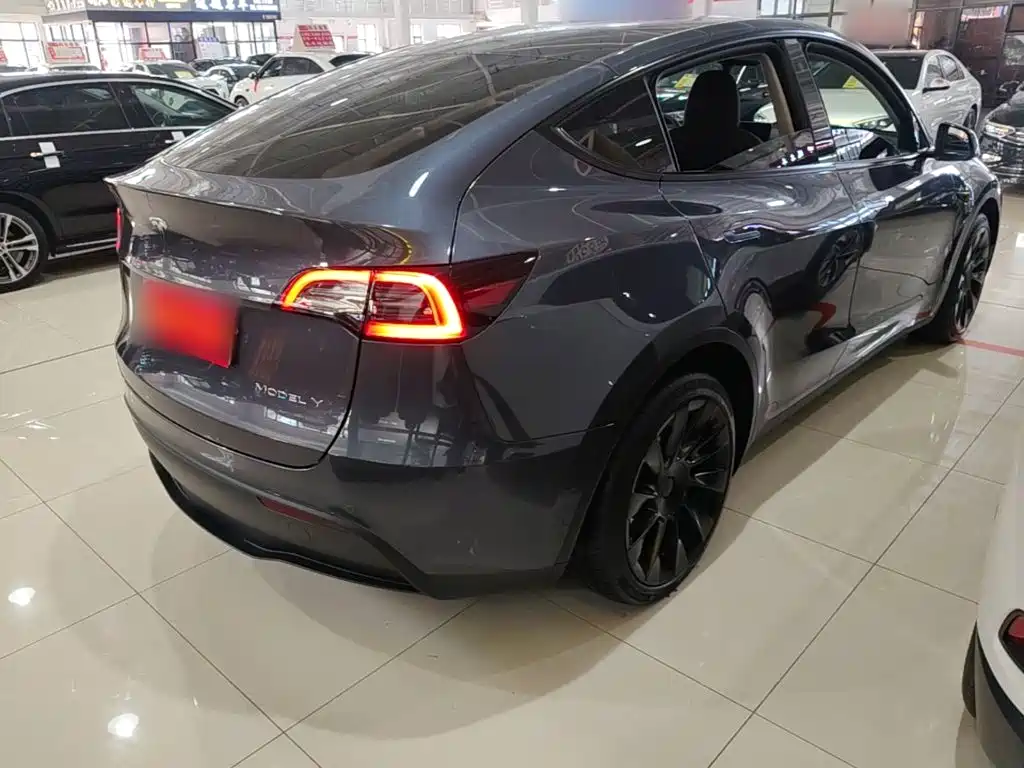 Tesla Model Y — миниатюра 7