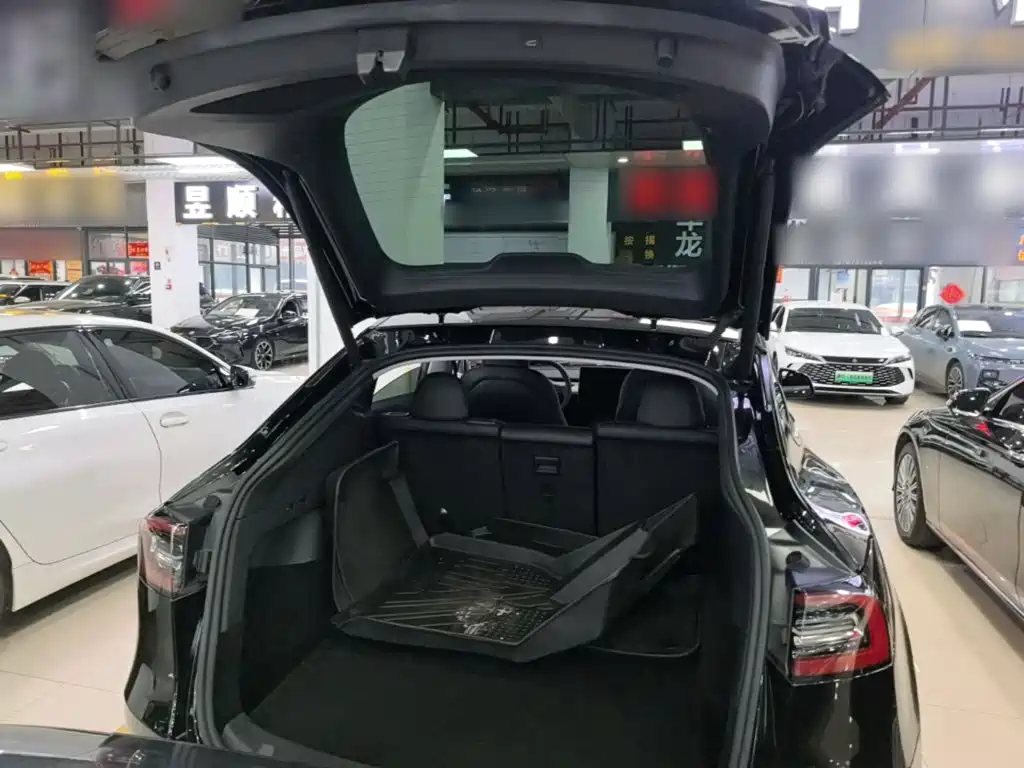 Tesla Model Y — миниатюра 19