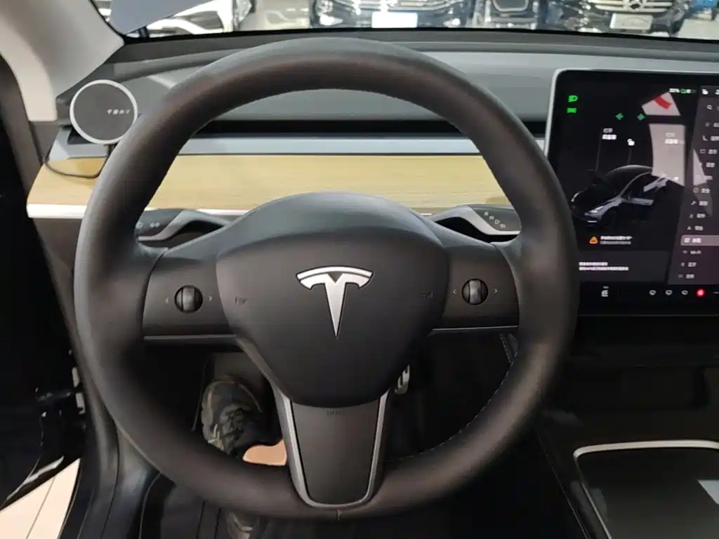 Tesla Model Y — миниатюра 11