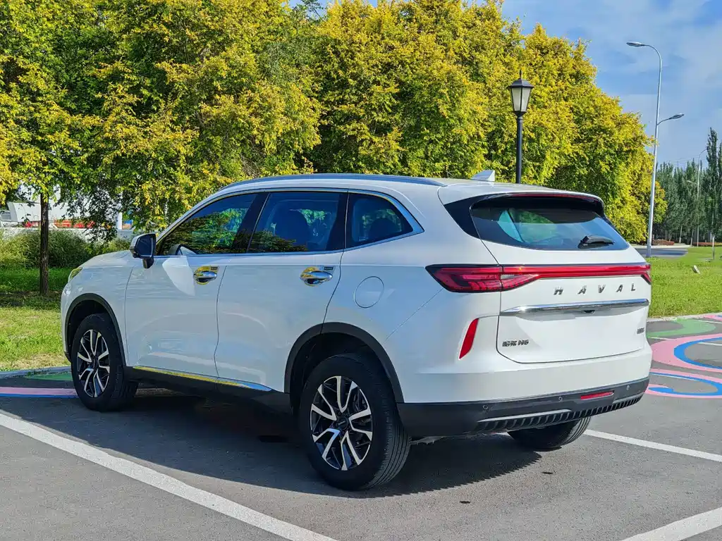 Haval H6 — миниатюра 4