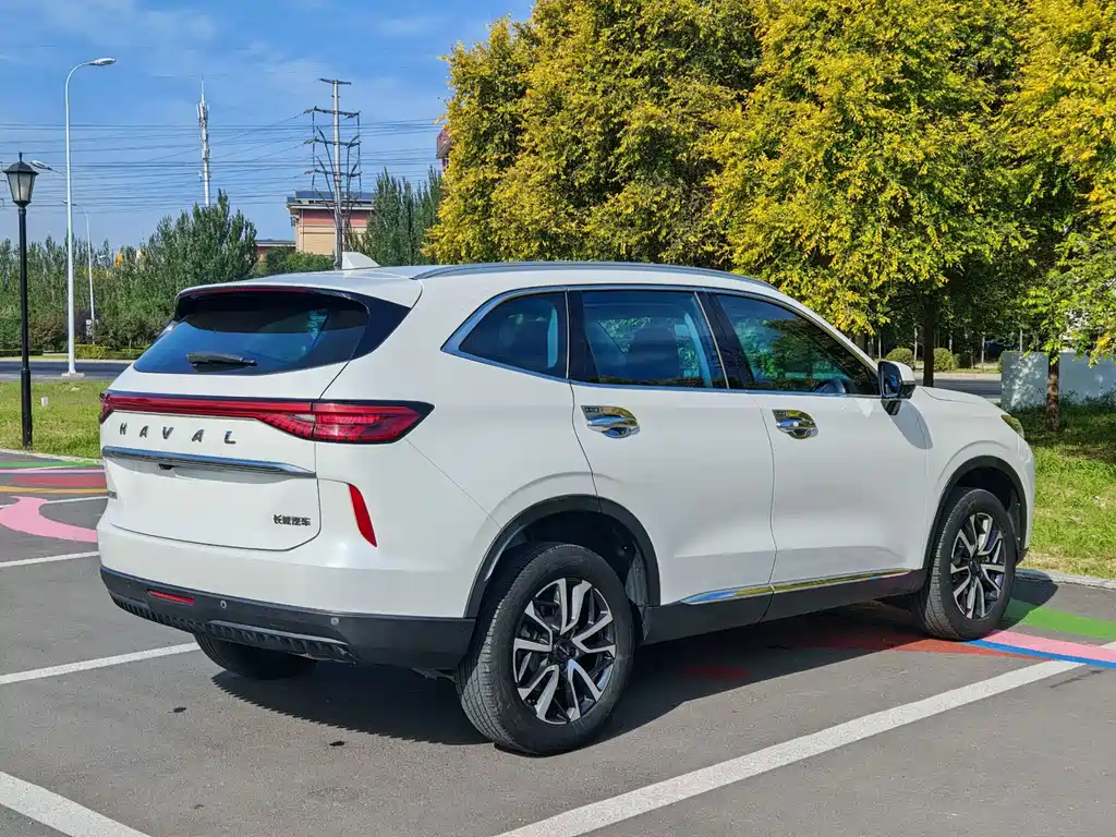 Haval H6 — миниатюра 6
