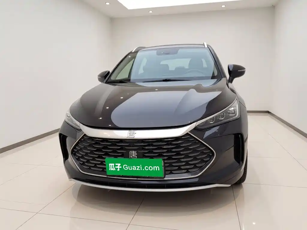 BYD Tang New Energy — миниатюра 2