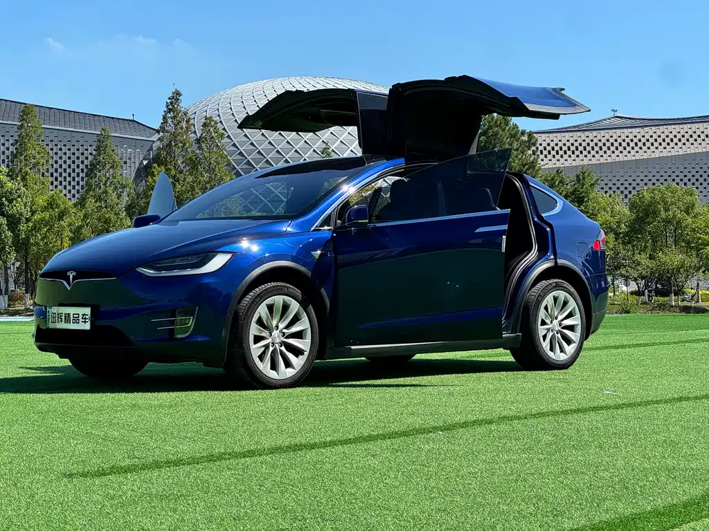 Tesla Model X — миниатюра 17