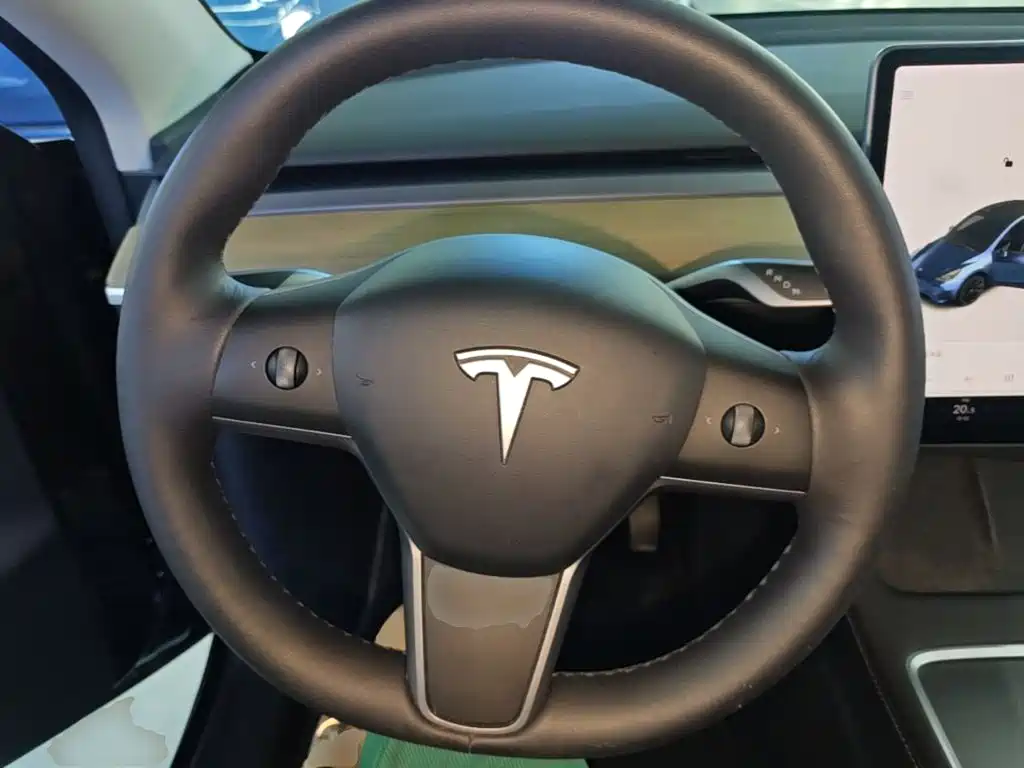 Tesla Model Y — миниатюра 11