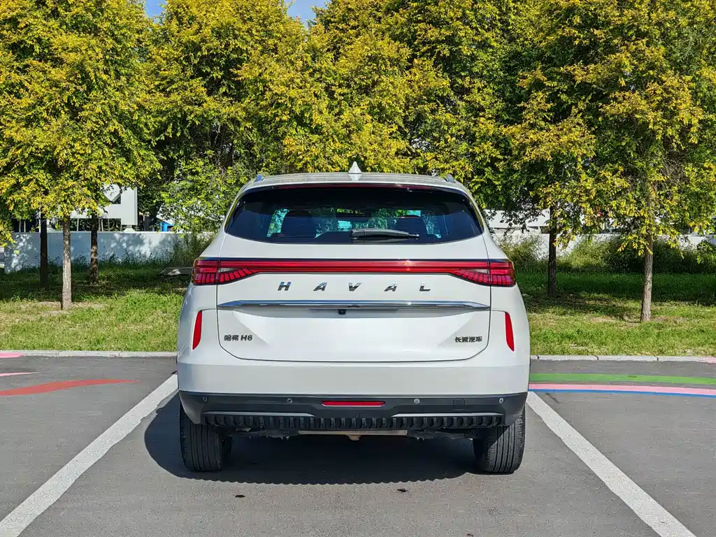 Haval H6 — миниатюра 5