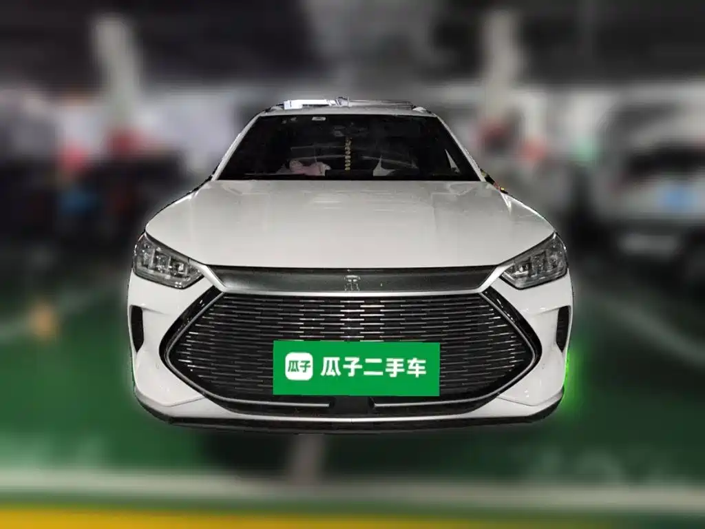 BYD PLUS New Energy — миниатюра 2
