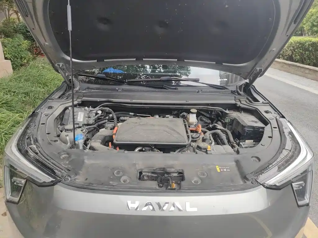 Haval Xiaolong — миниатюра 11