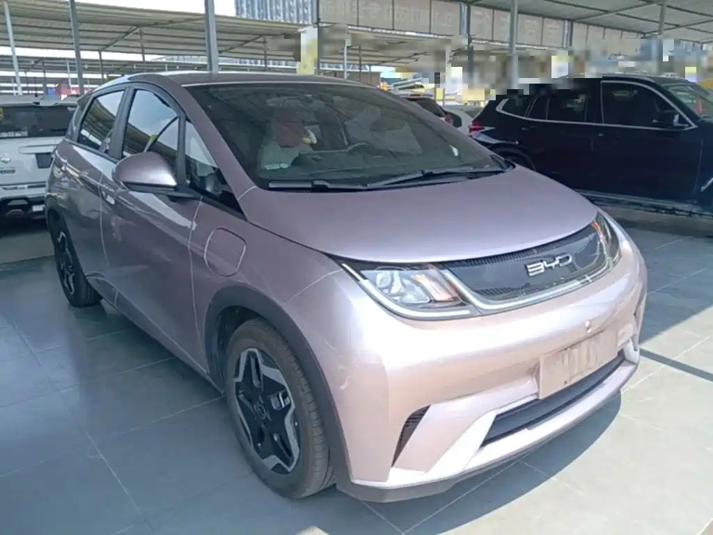 BYD Dolphin — миниатюра 4