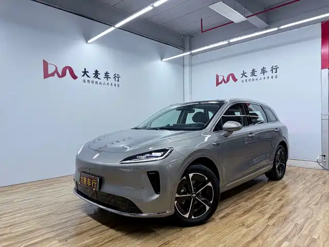 2025 Singulato