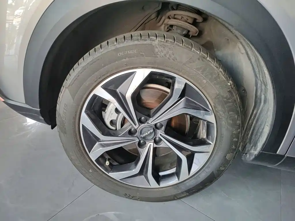 Haval Shenshou — миниатюра 23