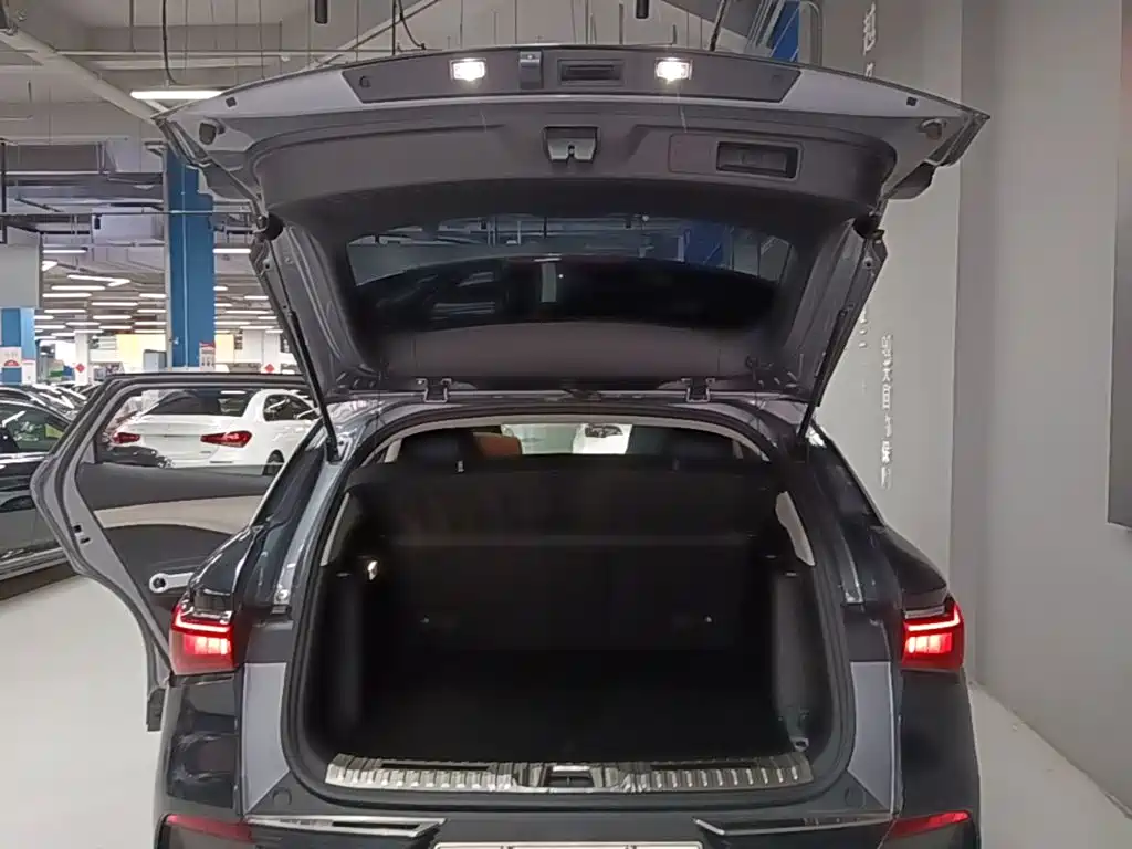 BYD Yuan Plus — миниатюра 19