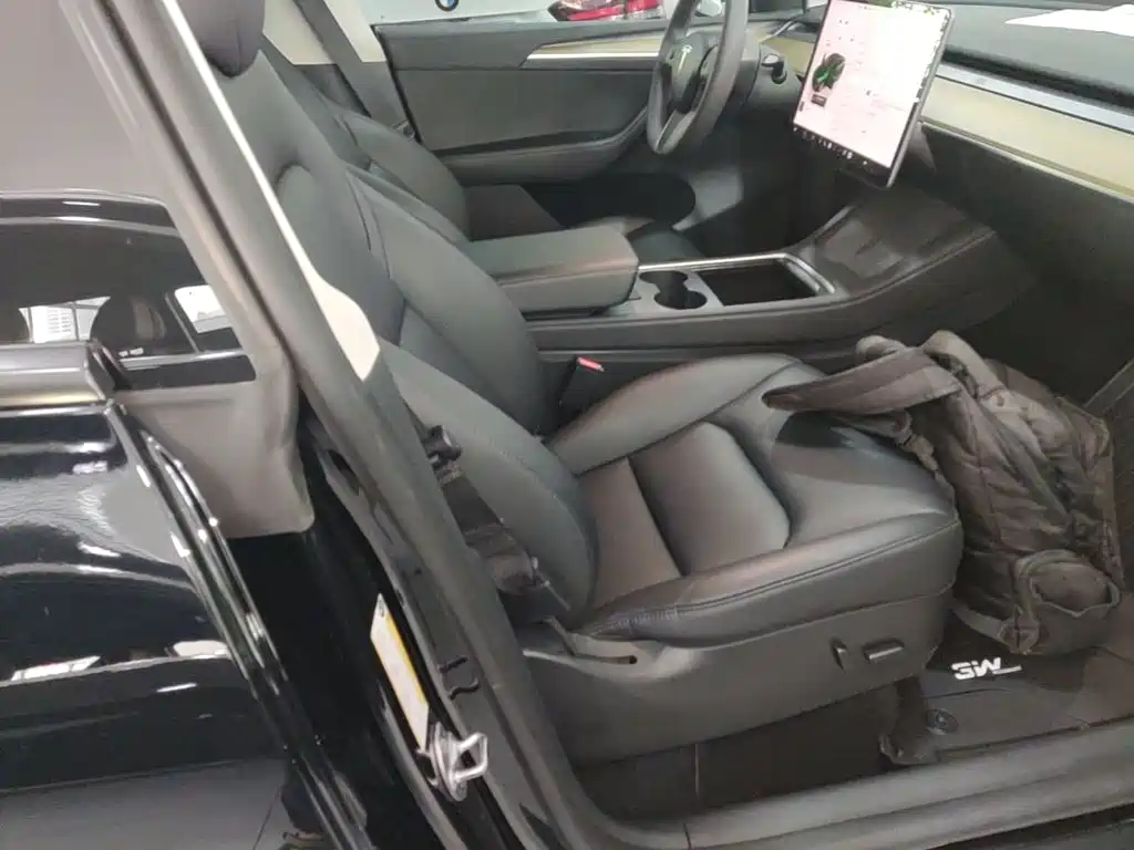 Tesla Model Y — миниатюра 25