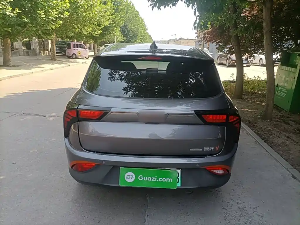 Neta Neta V — миниатюра 6