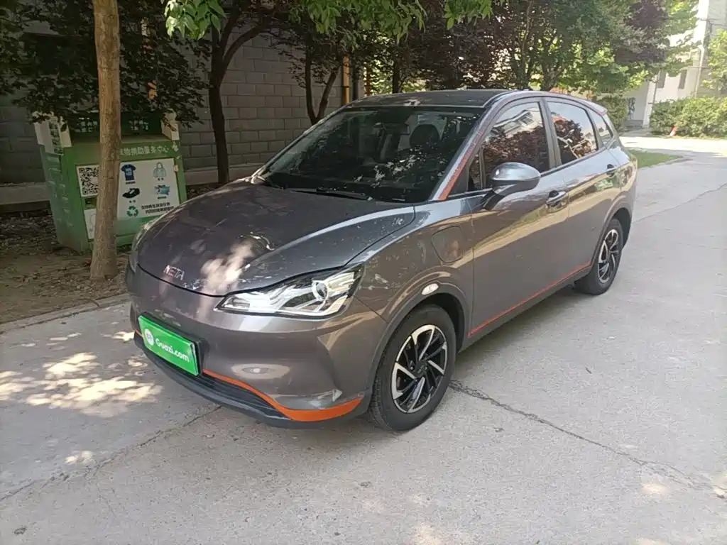 Neta Neta V