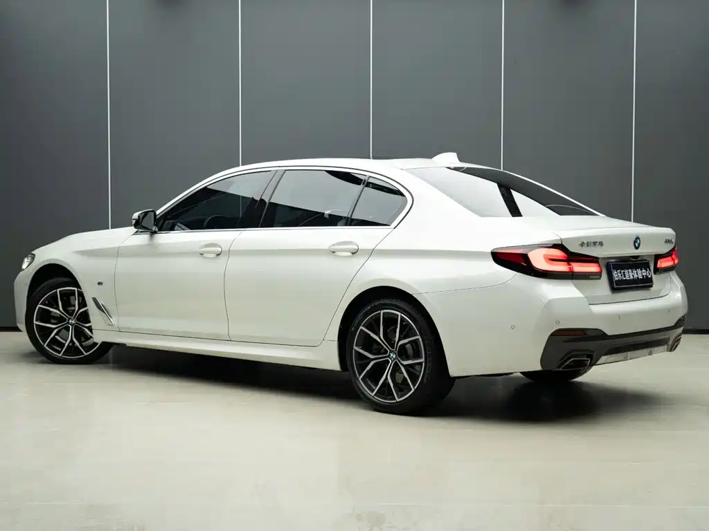 BMW 5 Series — миниатюра 5
