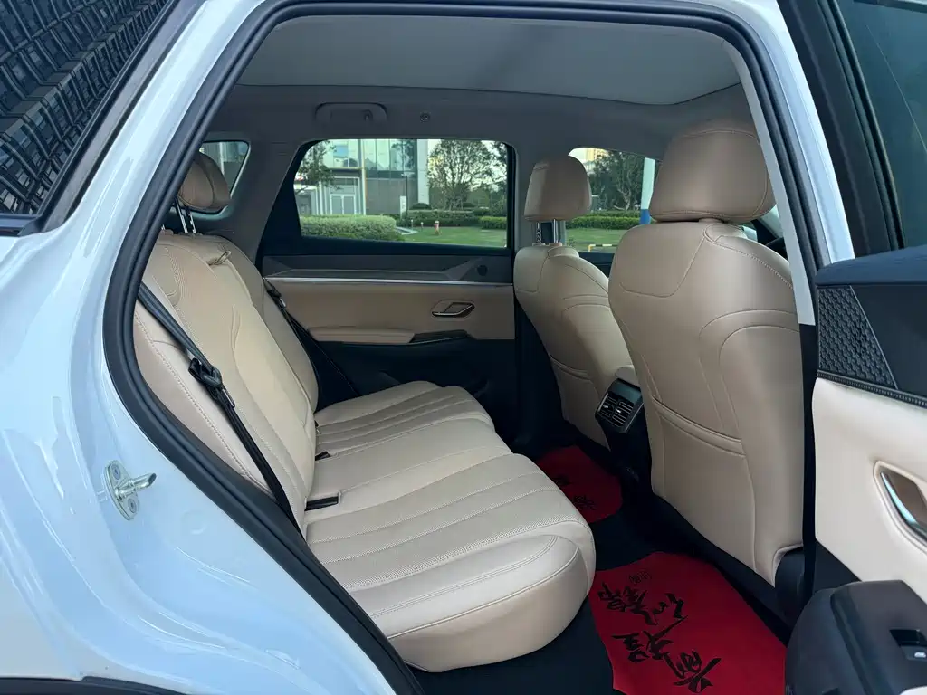 BYD Pro New Energy — миниатюра 8