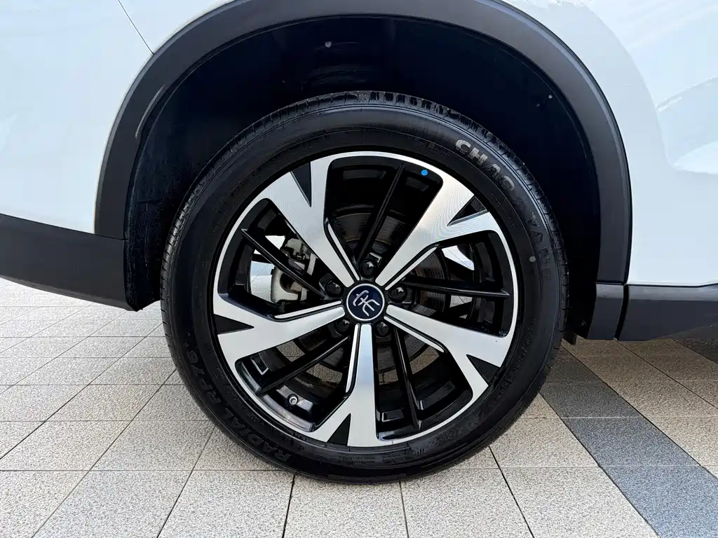 BYD Pro New Energy — миниатюра 11