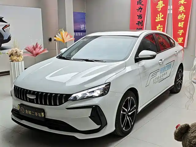 GEELY AUTOMOBILE BINRUI 2025
