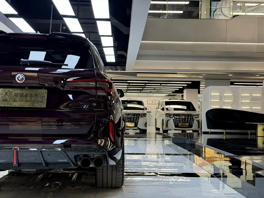 BMW X5 M — миниатюра 16
