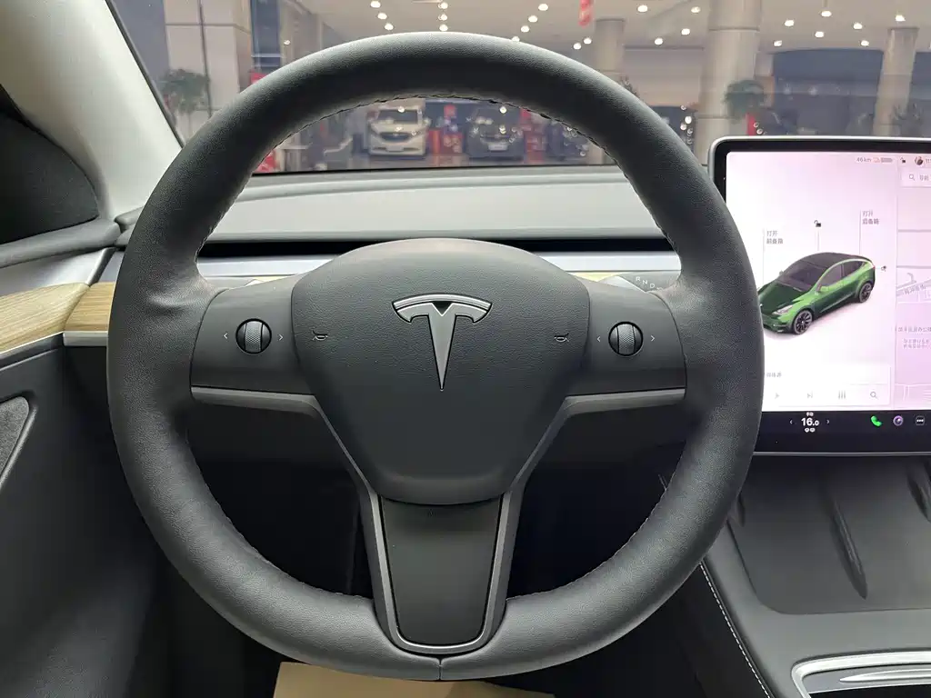 Tesla Model Y — миниатюра 17