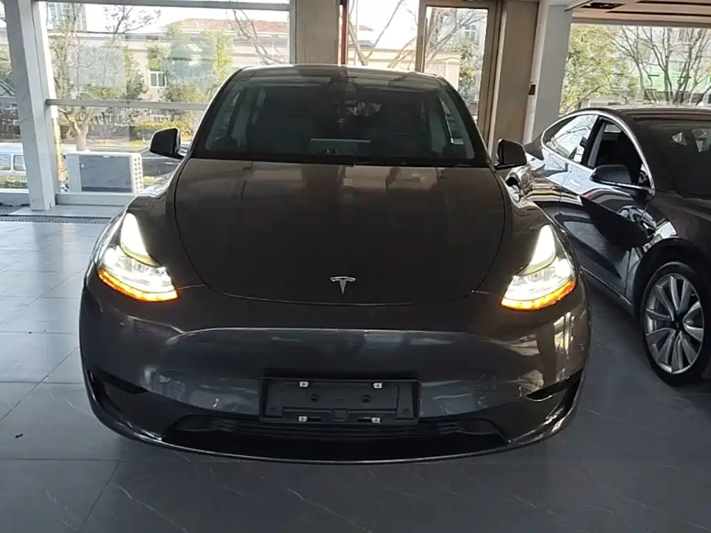 Tesla Model Y — миниатюра 3