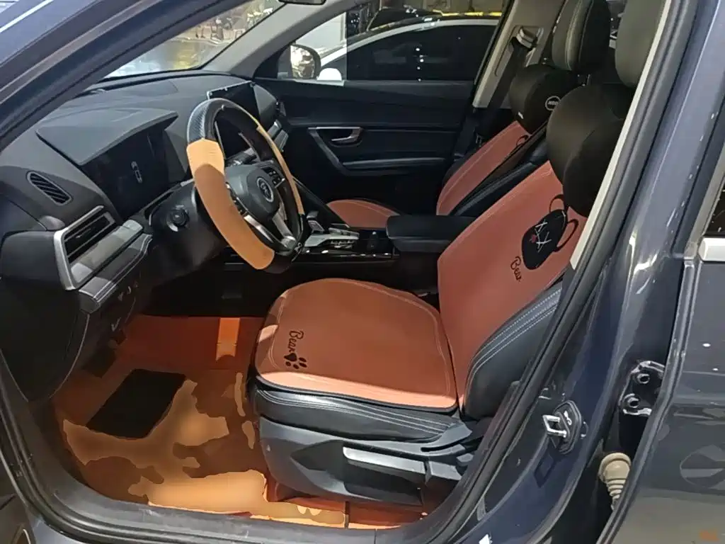 BYD Pro — миниатюра 15