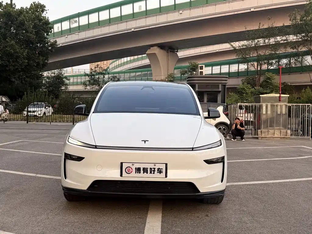 Tesla Model Y L — миниатюра 2