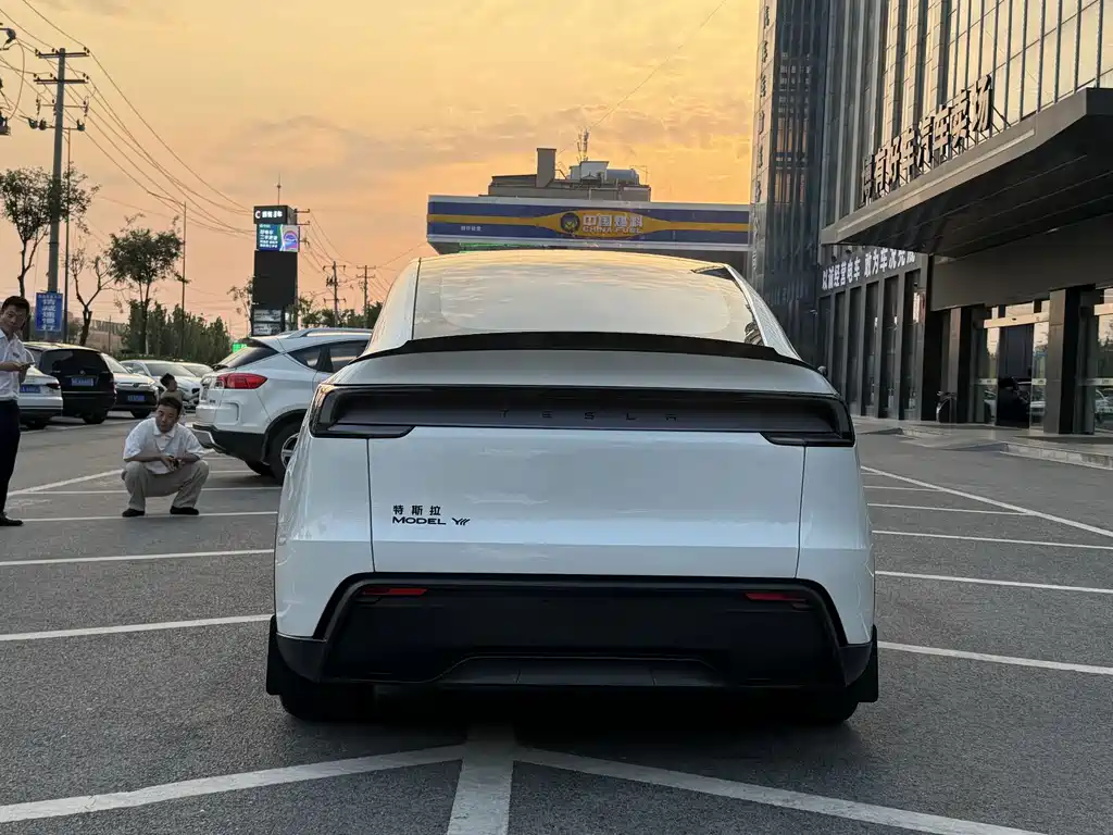 Tesla Model Y L — миниатюра 11