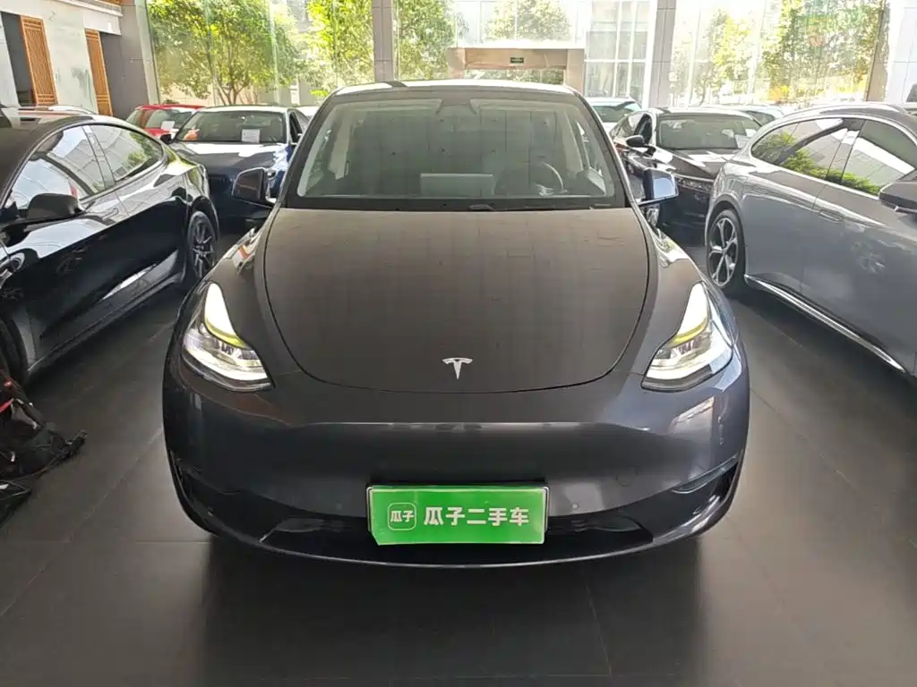 Tesla Model Y — миниатюра 3