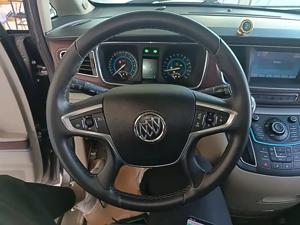 Buick GL8 — миниатюра 11