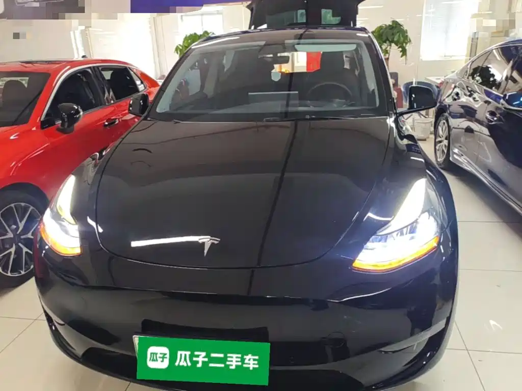 Tesla Model Y — миниатюра 3