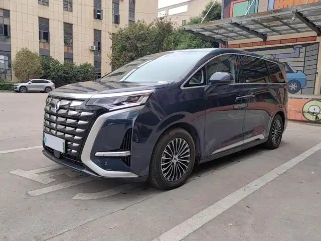 2023 Denza D9