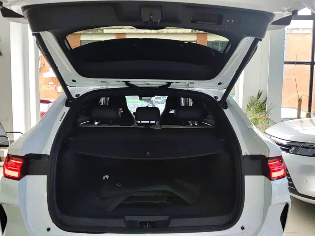 BYD PLUS New Energy — миниатюра 19