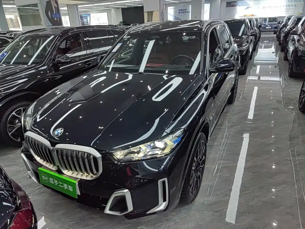 BMW X5 — миниатюра 3