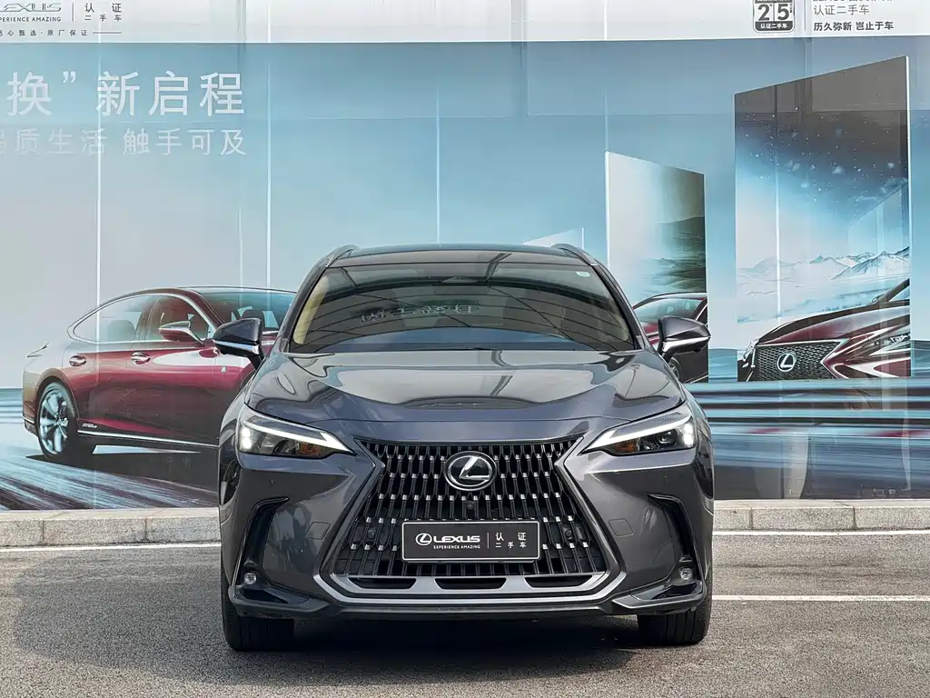 Lexus NX — миниатюра 3