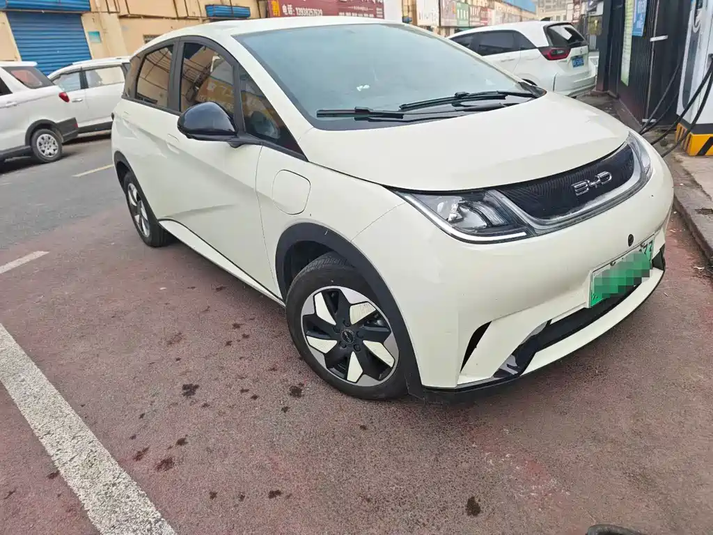 BYD Dolphin — миниатюра 2