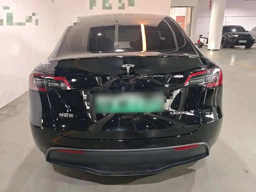 Tesla Model Y — миниатюра 6