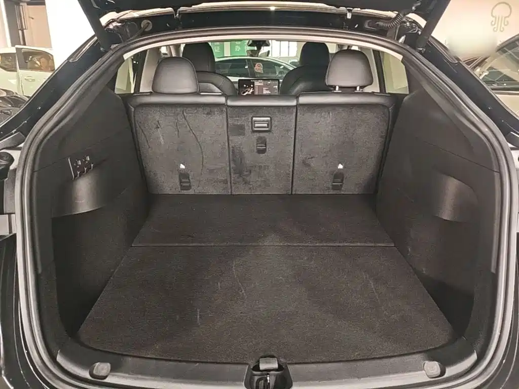 Tesla Model Y — миниатюра 19