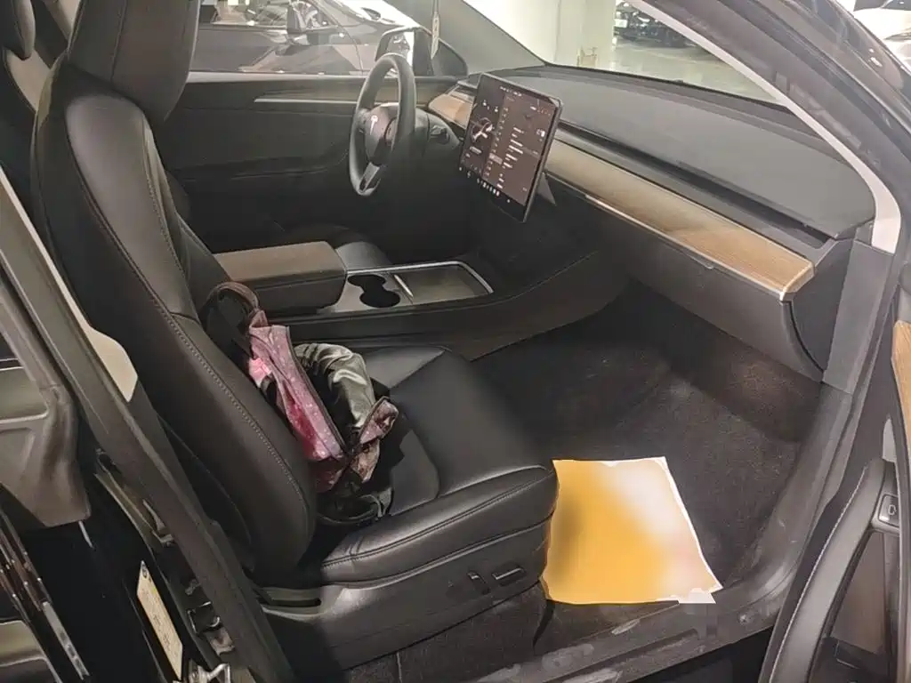 Tesla Model Y — миниатюра 25