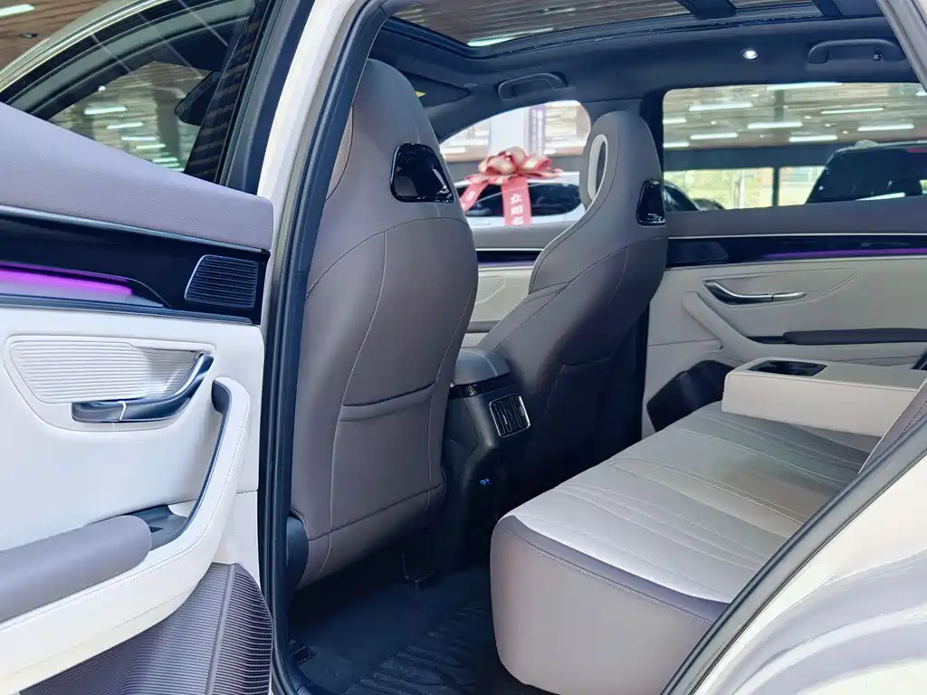 BYD SONGJIANG NEW ENERGY