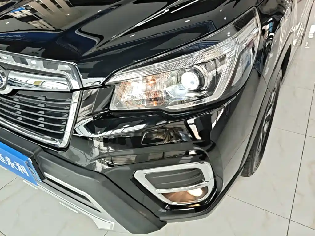 Subaru Forester — миниатюра 24