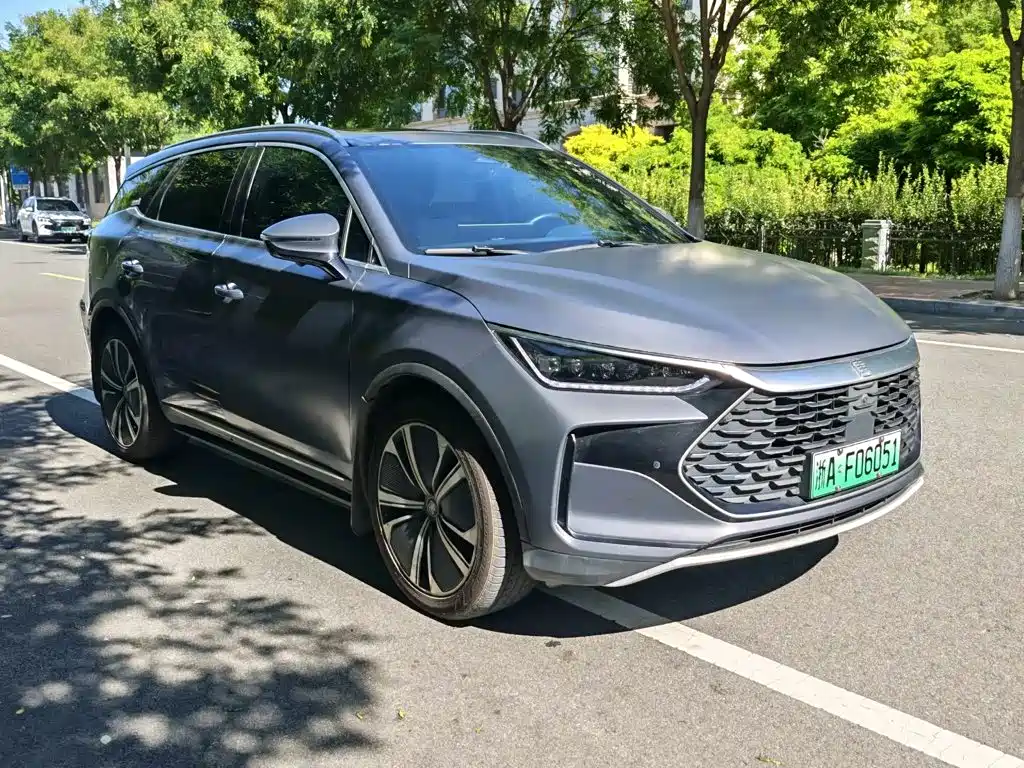 BYD Tang New Energy — миниатюра 2