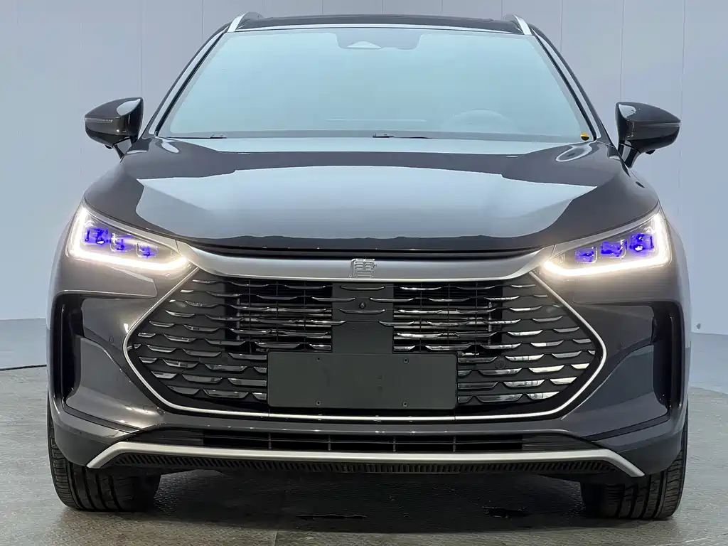 BYD Tang New Energy — миниатюра 2