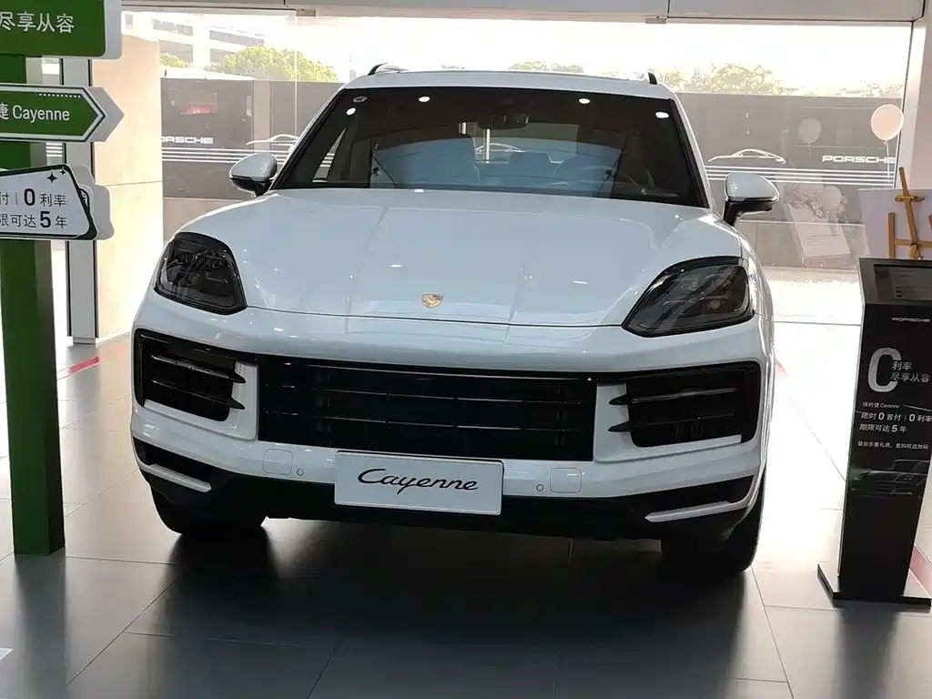 Porsche Cayenne — миниатюра 10