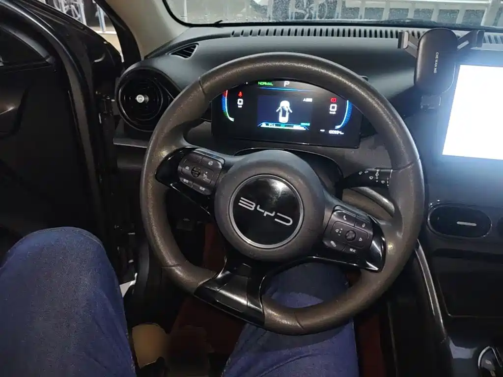 BYD e2 — миниатюра 11