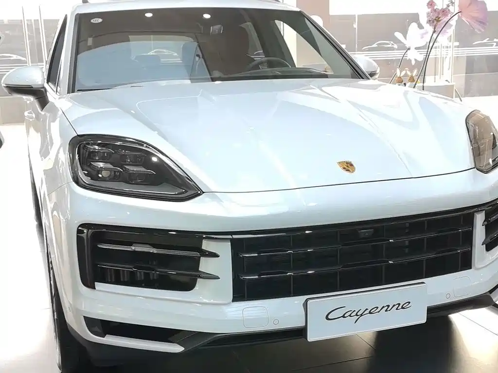 Porsche Cayenne — миниатюра 17