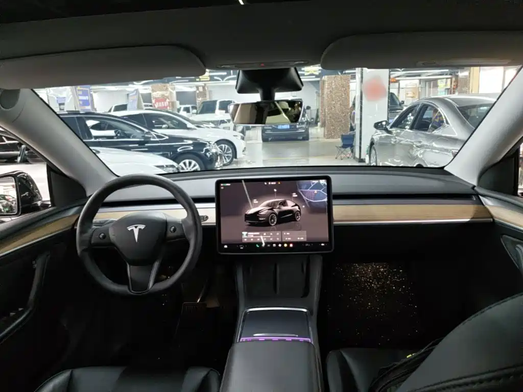 Tesla Model Y — миниатюра 10